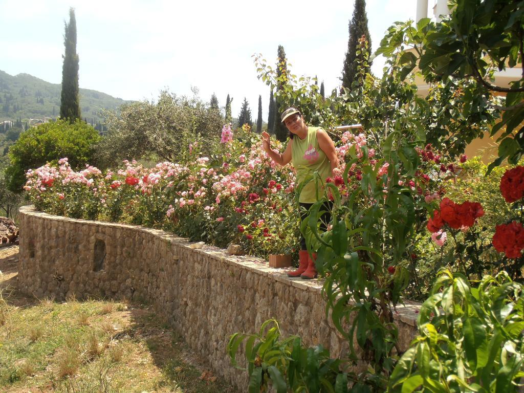 Linda House Corfu Διαμέρισμα Γαστούρι Δωμάτιο φωτογραφία